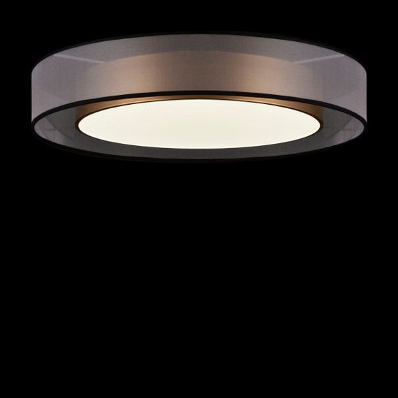 Потолочный светодиодный светильник Freya Zoticus FR6005CL-L48G