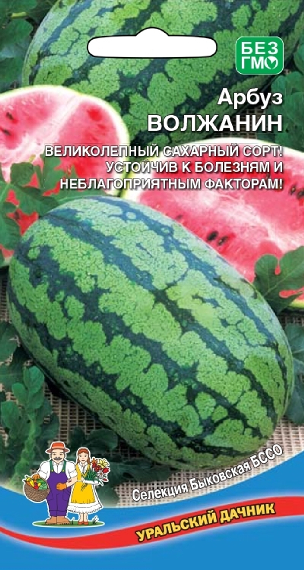 арбуз Волжанин