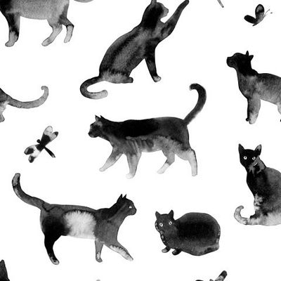 Черные котики