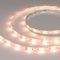 Светодиодная лента Arlight RTW-SE-B60-10mm 24V RGBW-Day (14.4 W/m, IP65, 5060, 5m) 034154