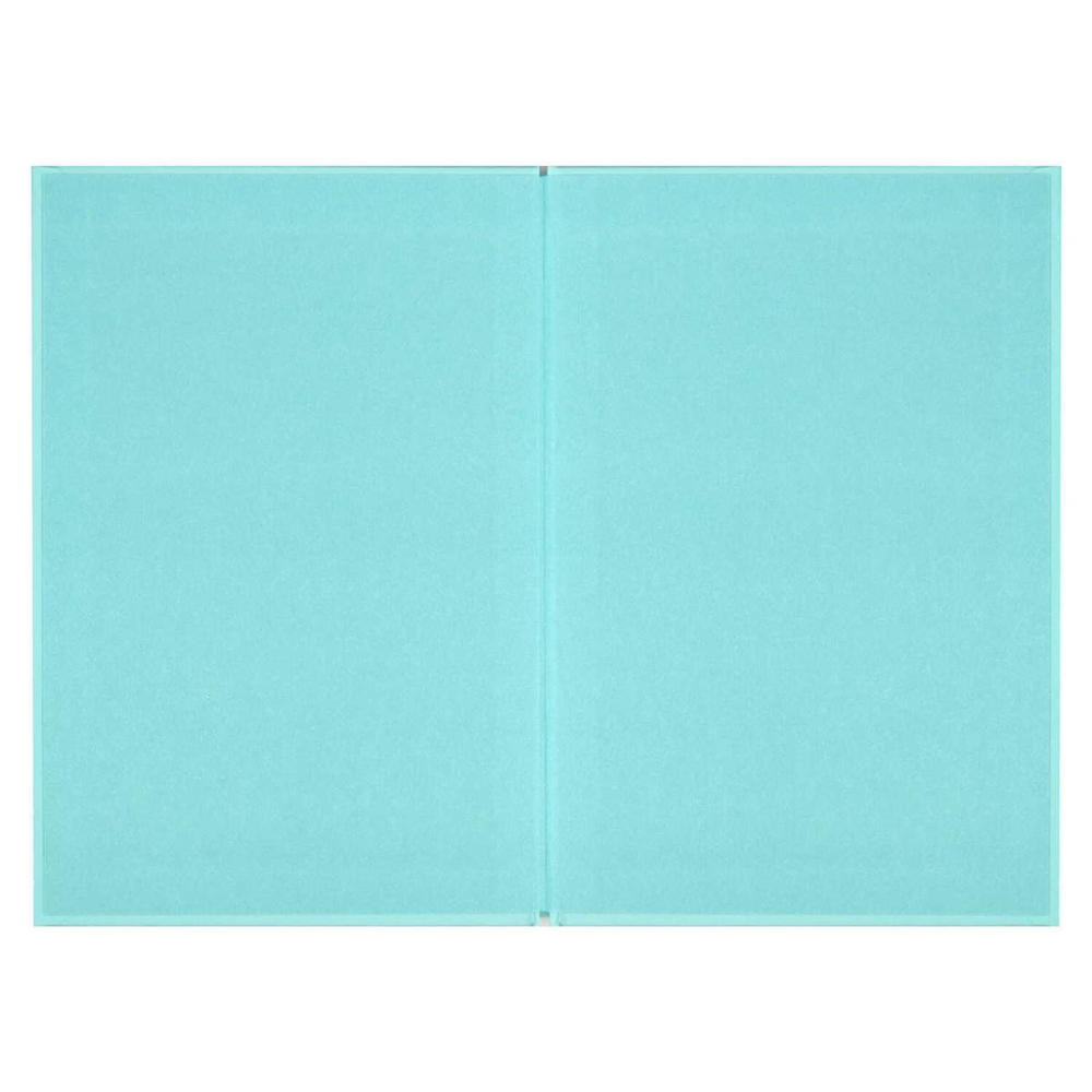 Ежедневник недатированный А5 80л. "Шедевр" (Феникс+)