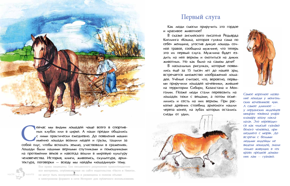 Кони. Дикие, благородные, знаменитые