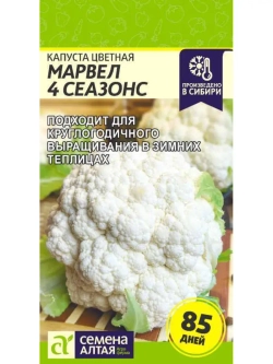 Семена цветной капусты Марвел 4 Сезона
