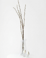 Веточки вербы