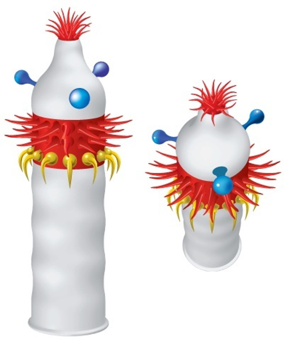 Презерватив LUXE Maxima "Аризонский Бульдог" - 1 шт.