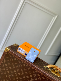 Louis Vuitton Porte Cartes Magnet