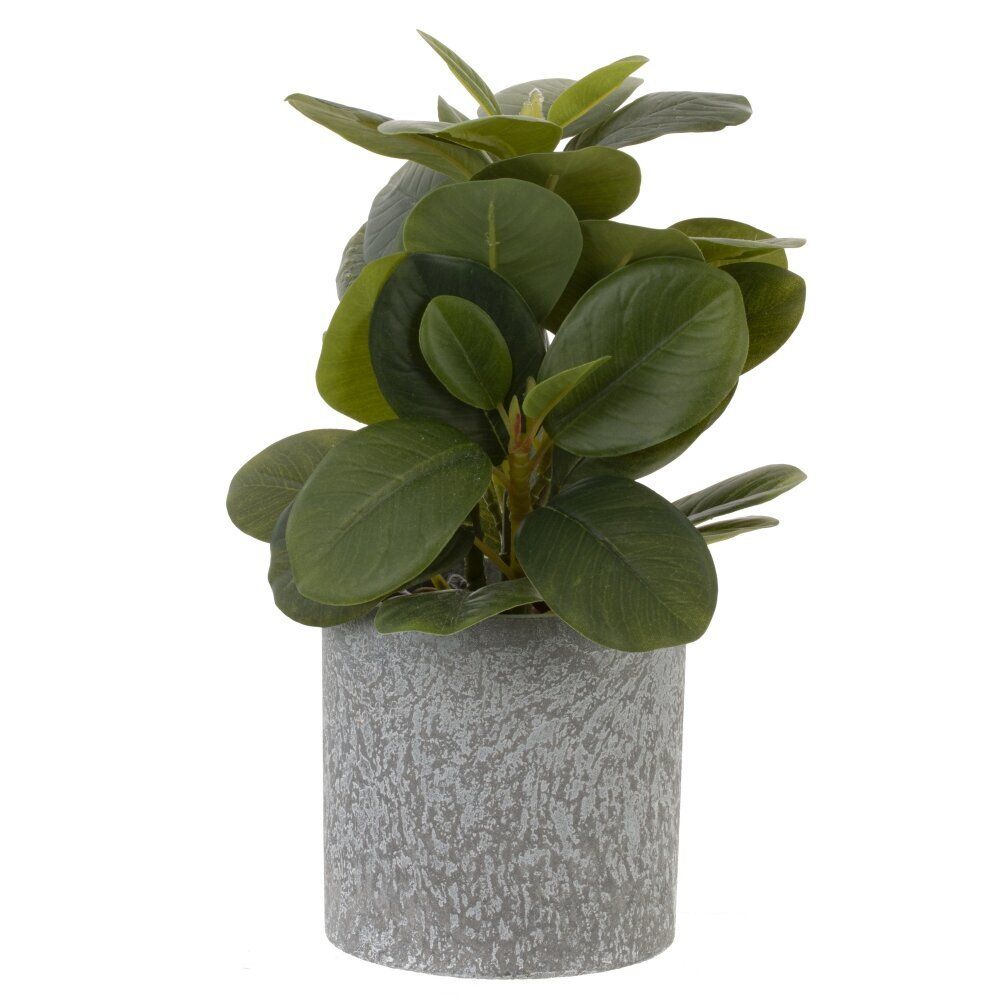 GAEM Цветочная композиция, L10 W10 H25 см