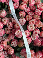 Тюльпаны махровые- нежно-розовый цвет