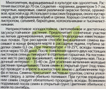 Хризантема килеватая Пламя 0,1 г СМЦ-334