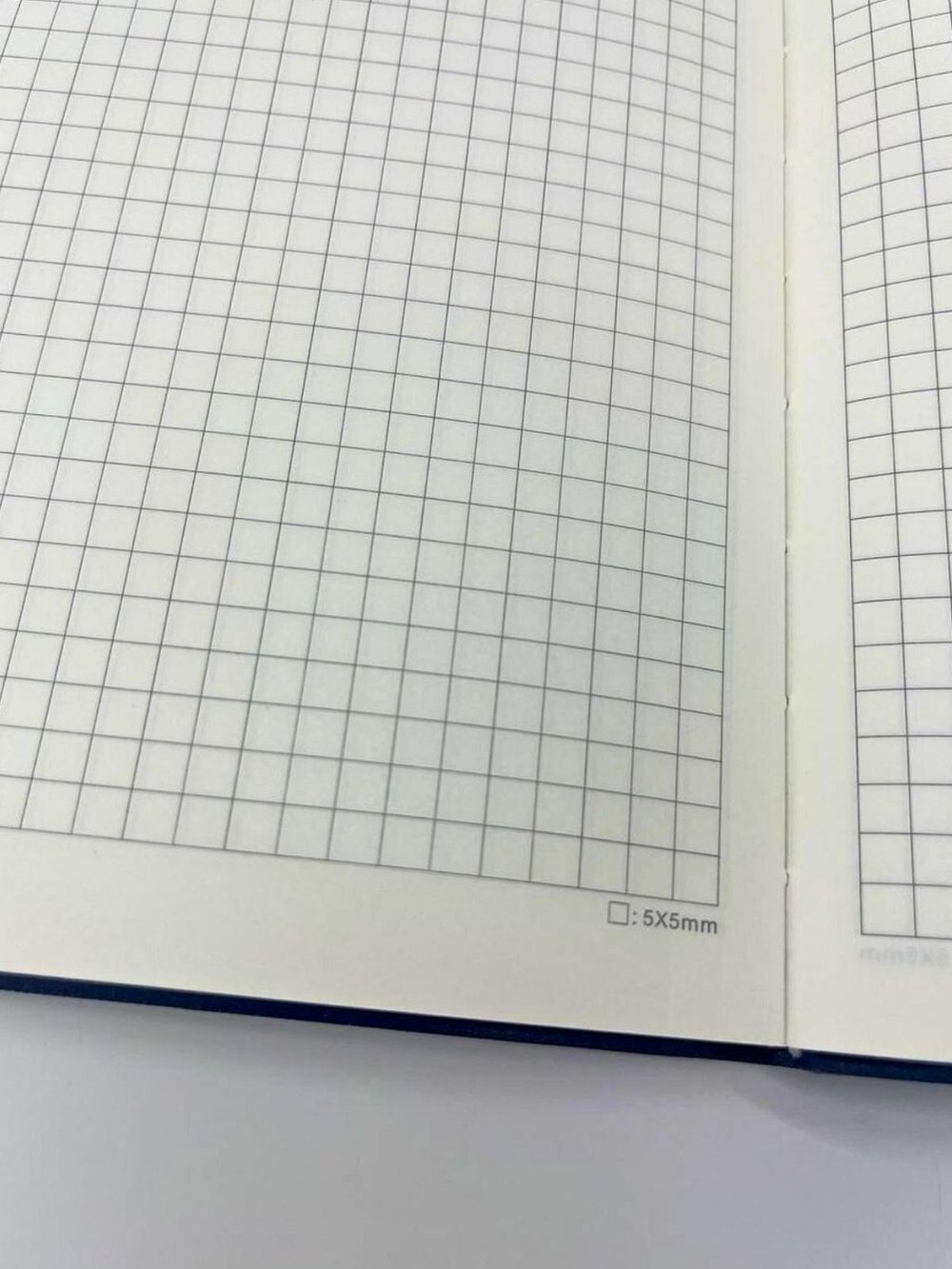 Блокнот А5 100л. в клетку Синий (К44-694КА5)