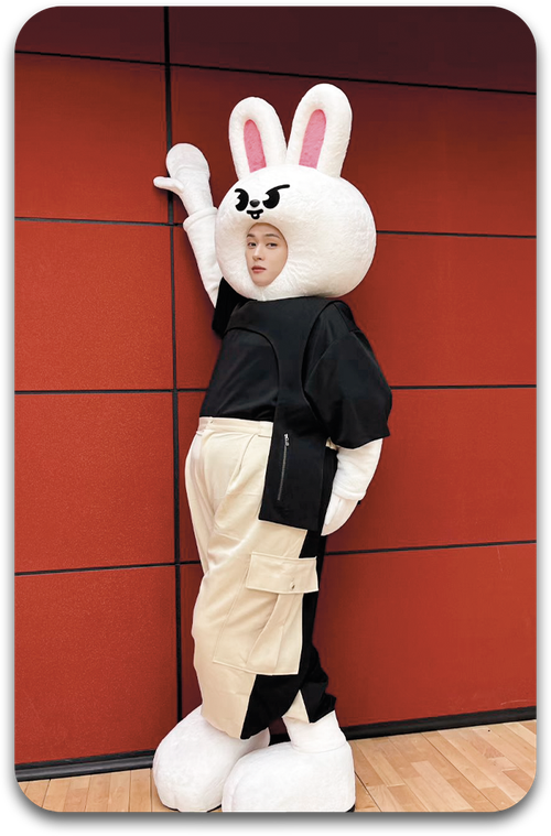 Карта / STRAY KIDS #1153