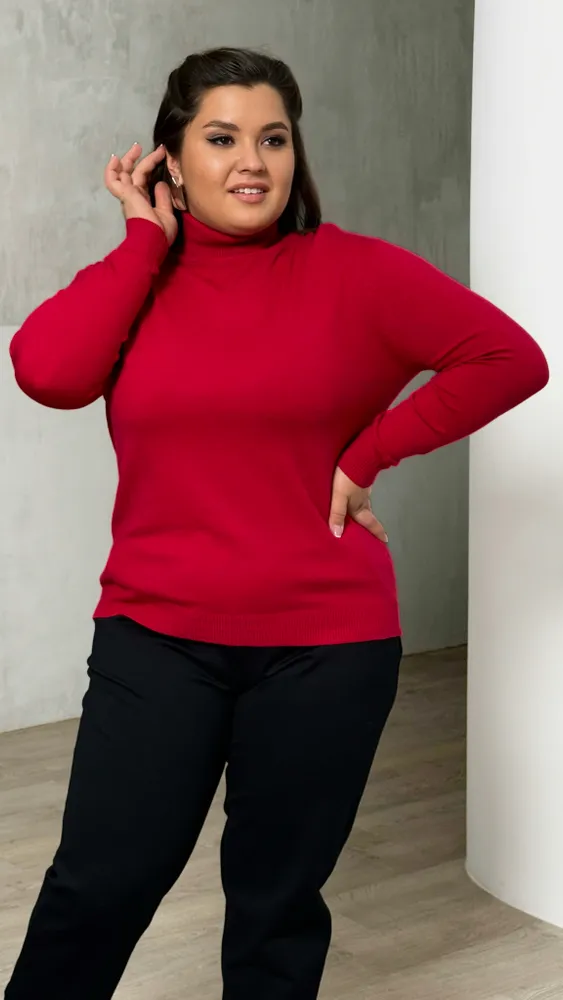 Водолазка 1165 Fabrika