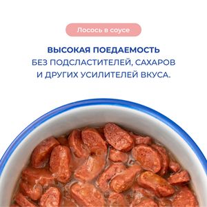 Пауч Jarvi для кошек для красивой шерсти и здоровой кожи, лосось, кусочки в желе