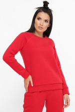 Свитшот реглан теплый SV-100R