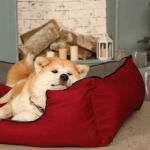 лежанка с бортиками для крупных собак бордовая