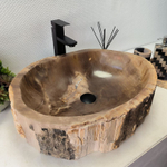 Раковина из окаменелого дерева OD-62420 57*45*15
