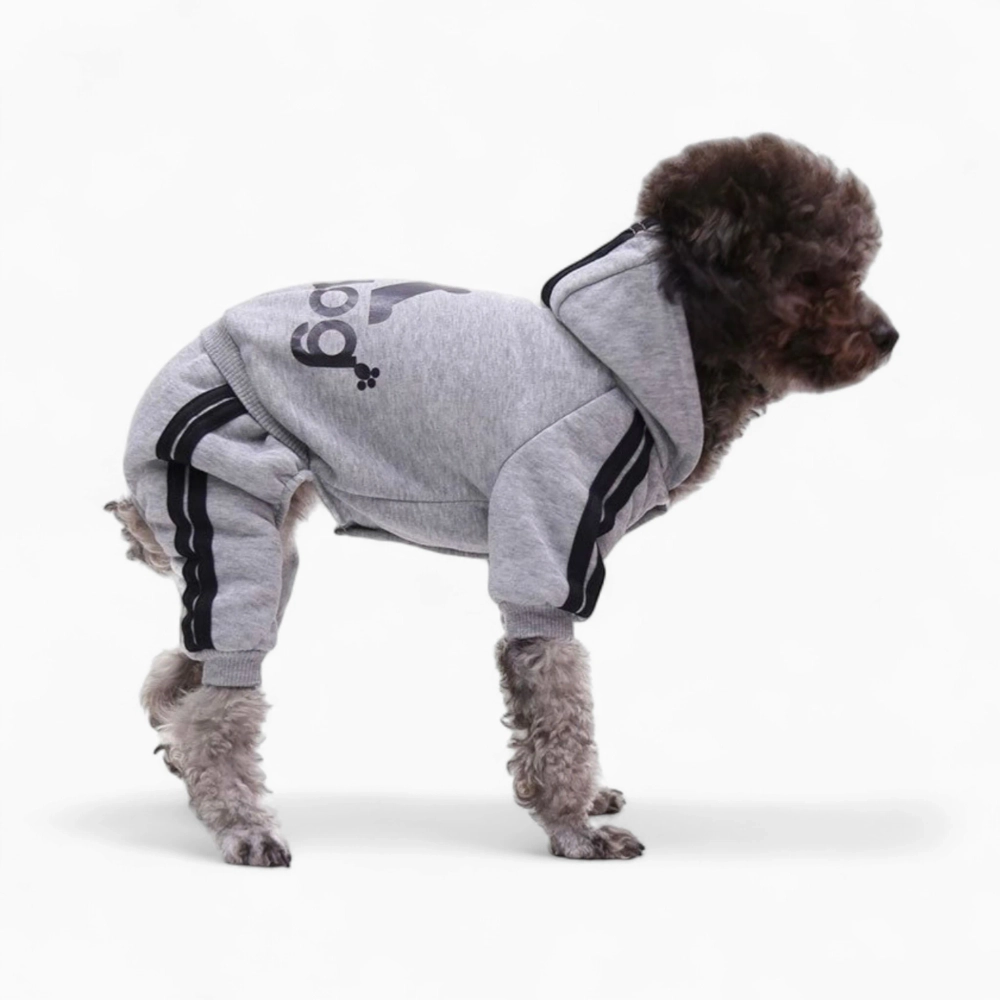 Спортивный костюм «Adidog»