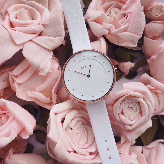 Женские часы Skagen SKW2291