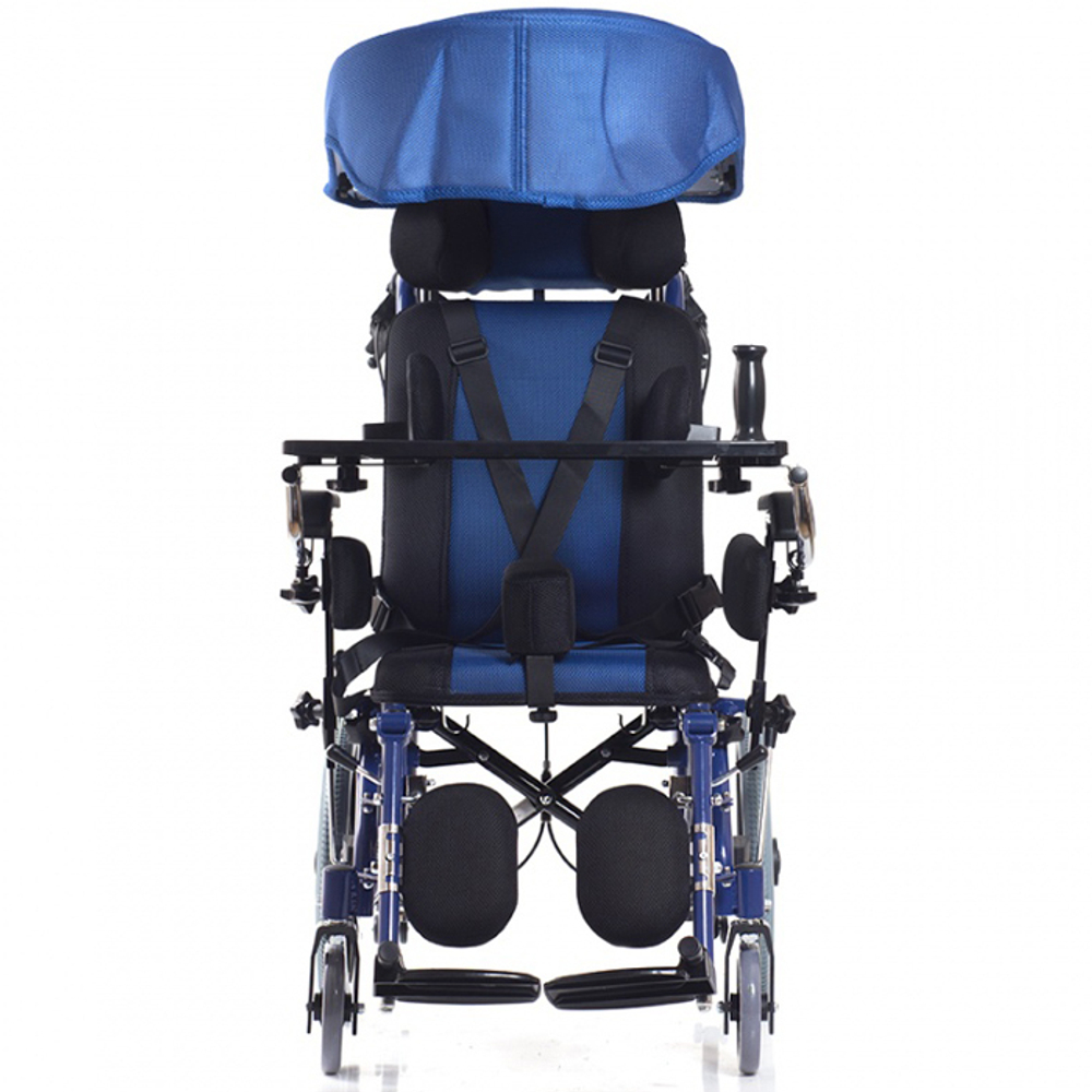 Кресло-коляска для детей с инвалидностью в тч с ДЦП Olvia 200 (Olvia 20 )