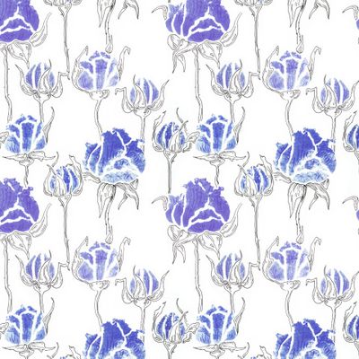 Синие розы на белом фоне