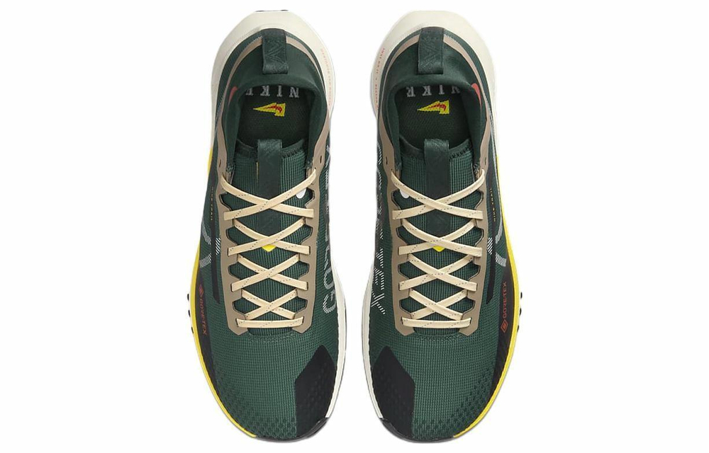 Кроссовки Nike Pegasus Trail 4 Gore-Tex