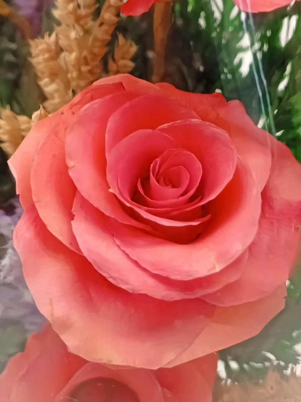 натуральные цветы в стекле, вакуум