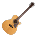 Электроакустическая гитара Gopherwood K730RCE
