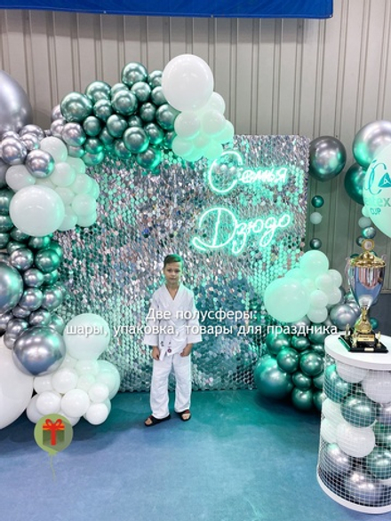 Фотозона Дзюдо