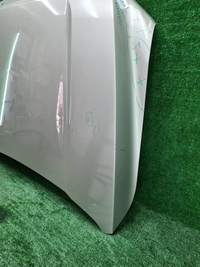 Капот Tank 500 (2021-н.в.)