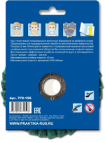 Диск лепестковый войлочный, мягкий, абразивный Практика (125х22мм)