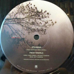 Soundgarden / Superunknown: The Singles (5x10" Vinyl Single)