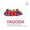 Табак для кальяна &quot;Мэтт Пир&quot; CLASSIC (Yagoda), 50 г