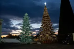 Уличная светодинамическая елка Лесная зеленая 14 м., ствольная, Литая, Green Trees (GT14LESPELED)