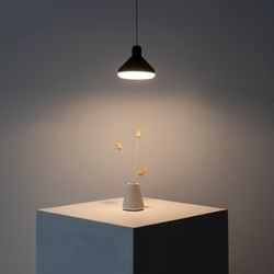 7310 Подвесной светильник ANTARES