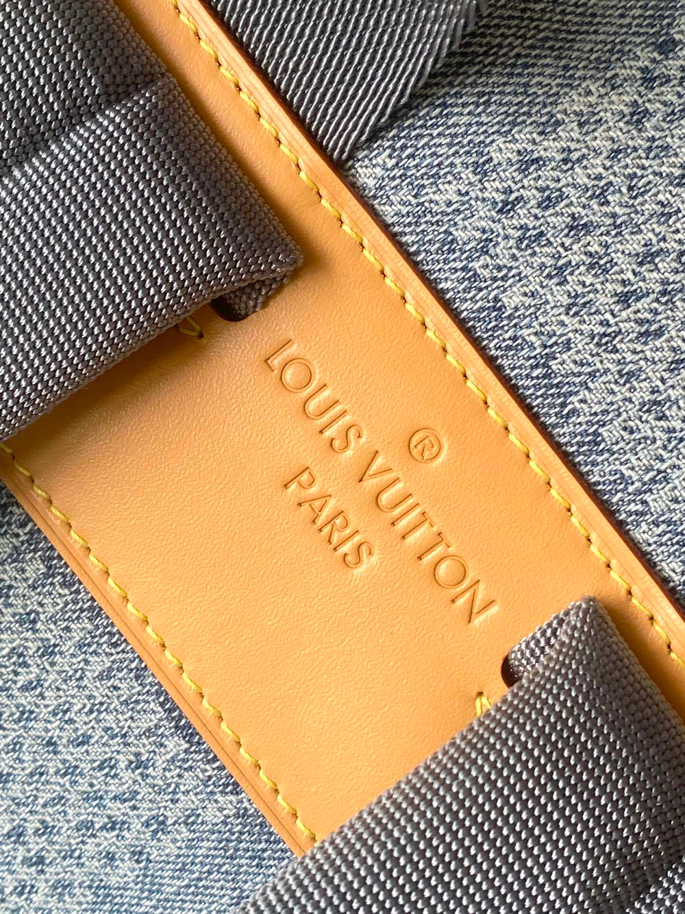 Louis Vuitton Montsouris Backpack