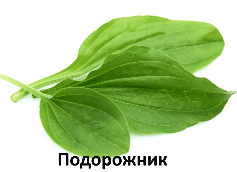 ALLEVA для собак Alleva Care Dog Gastrointestinal Low Fat 12 KG Аллева Гастроинтестинал корм диетический  для собак