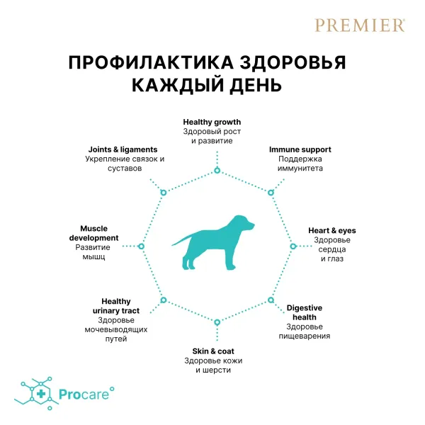 Уценка! Срок 15.07.26/ Сухой корм Premier Dog Turkey Junior Medium&Maxi для юниоров средних и крупных пород из свежего мяса индейки