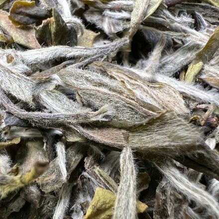 Бай Му Дань "Белый пион" 50 г