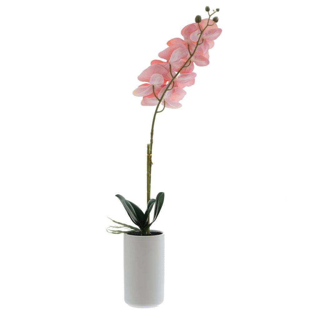 GAEM Цветочная композиция, L W H56 см