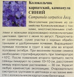 Колокольчик Синий карпатский 0,1 г СМЦ-308