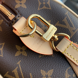 Louis Vuitton Speedy 20