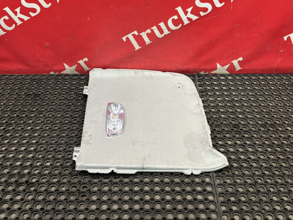 Обшивка потолка левая 2024г