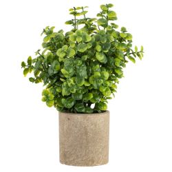 GAEM Цветочная композиция, L8 W8 H23 см