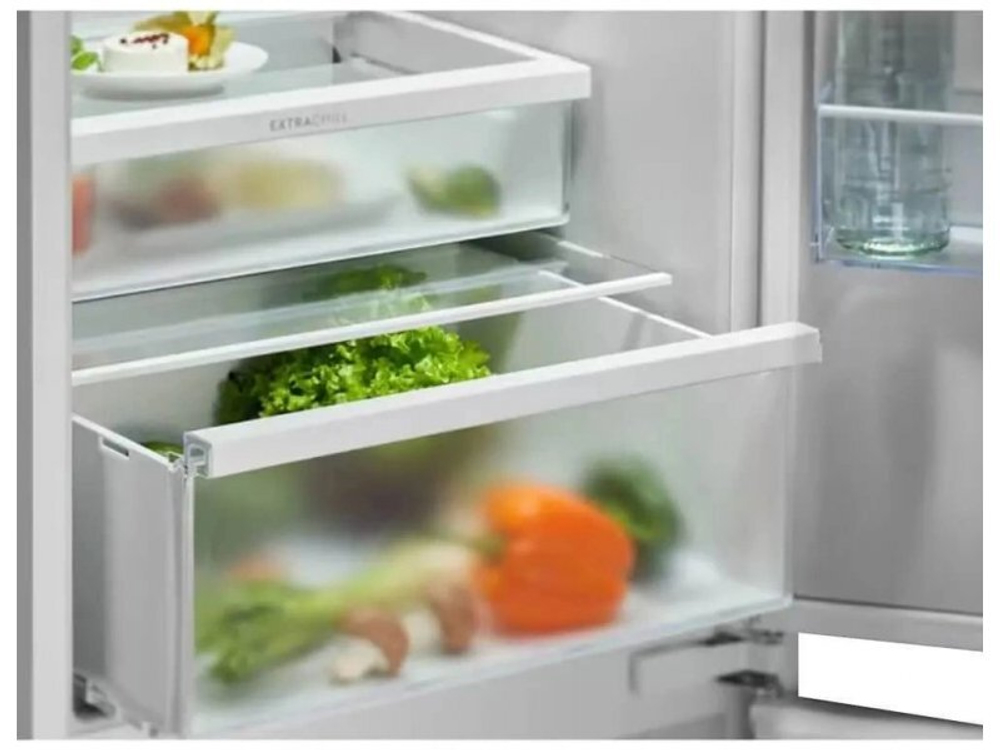 Встраиваемый холодильник Electrolux ENT6ME19S