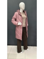 Куртка с капюшоном демисезонная