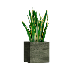 Кашпо, коллекция Surface, форма CUBE