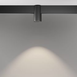 Трековый магнитный светодиодный светильник Maytoni   TR122-2-7W4K-B