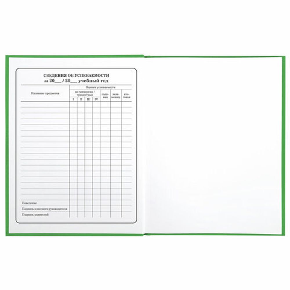 Дневник 1-4 класс 48 л., твердый, BRAUBERG, глянцевая ламинация, с подсказом, "Авокадики", 106359