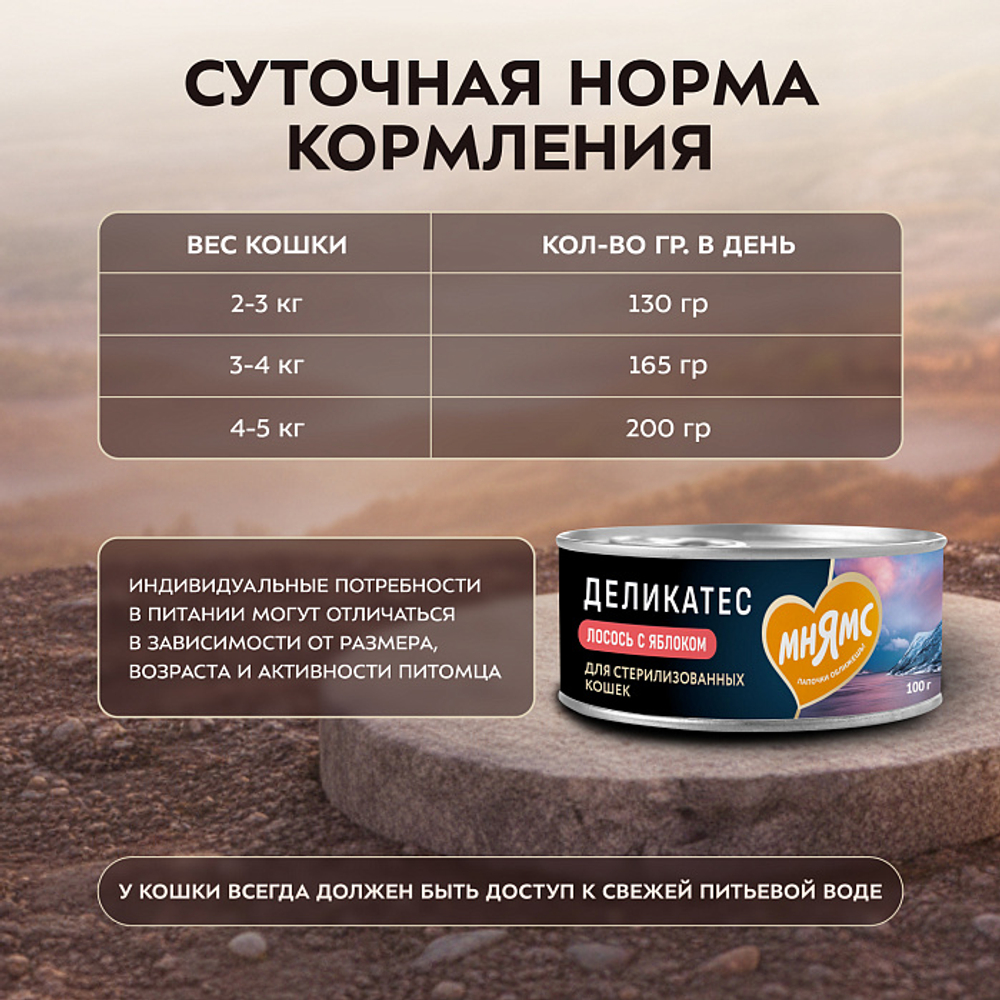 Влажный корм консервы для стерилизованных кошек Деликатес "Паштет по-норвежски" лосось с яблоком Мнямс 0,1кг 16 шт