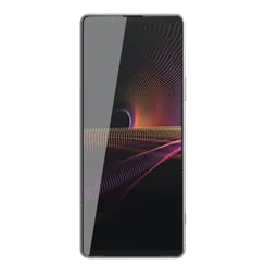Sony Xperia 1 III 12/256Gb Grey (Серый)